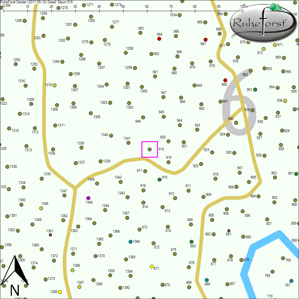 Detailkarte zu Baum 918