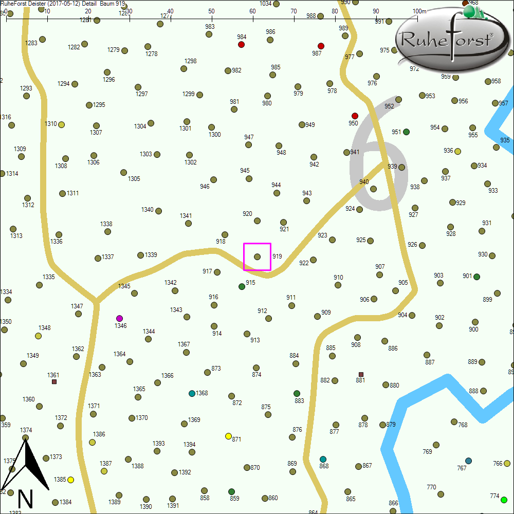 Detailkarte zu Baum 919