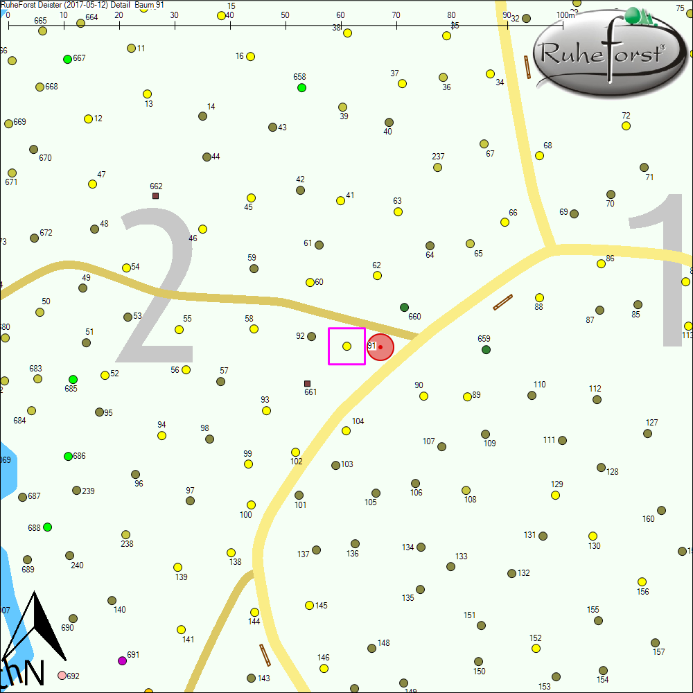 Detailkarte zu Baum 91