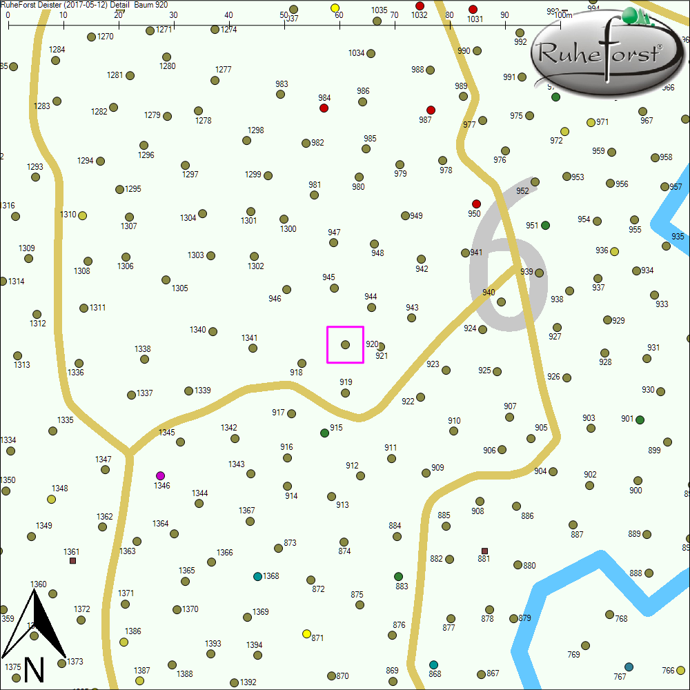 Detailkarte zu Baum 920