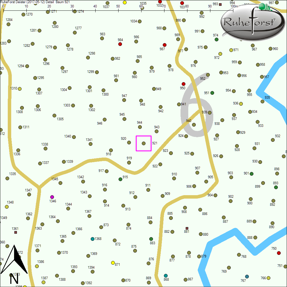 Detailkarte zu Baum 921