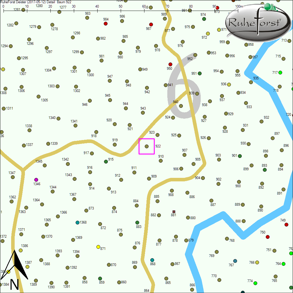 Detailkarte zu Baum 922