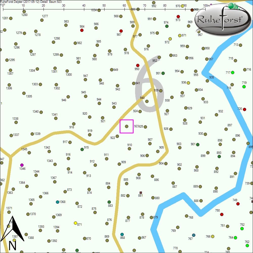 Detailkarte zu Baum 923