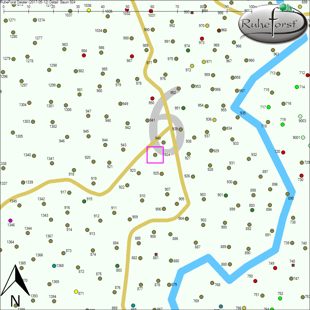 Detailkarte zu Baum 924