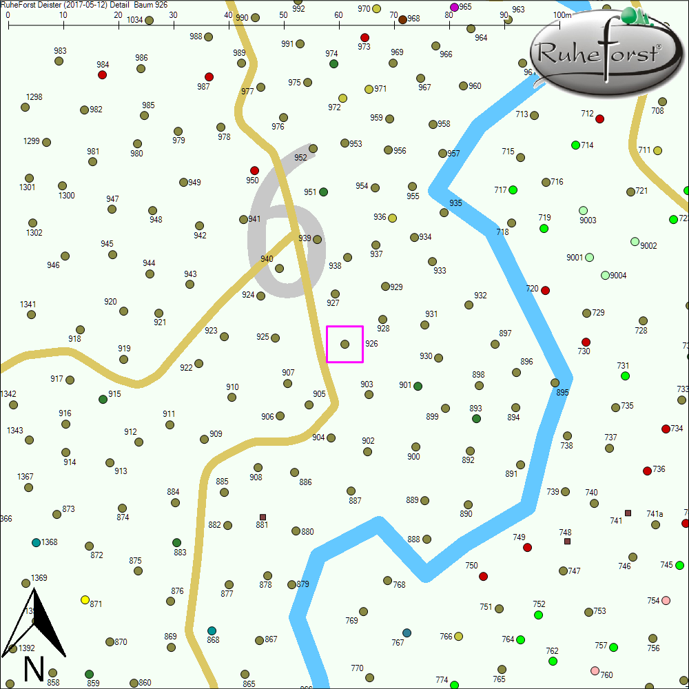 Detailkarte zu Baum 926