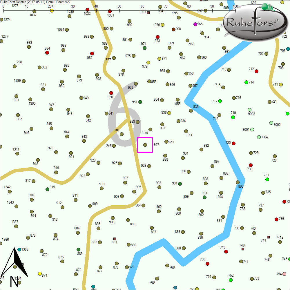 Detailkarte zu Baum 927