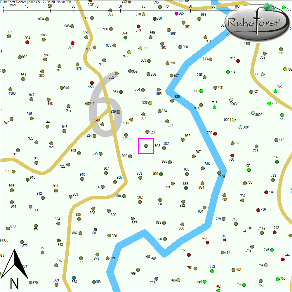 Detailkarte zu Baum 928