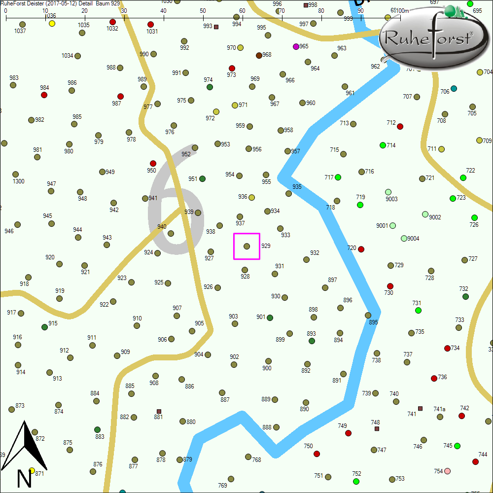 Detailkarte zu Baum 929