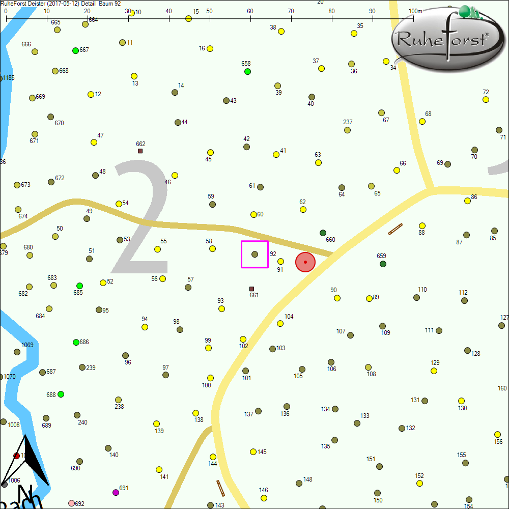 Detailkarte zu Baum 92