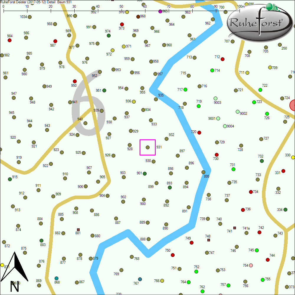 Detailkarte zu Baum 931