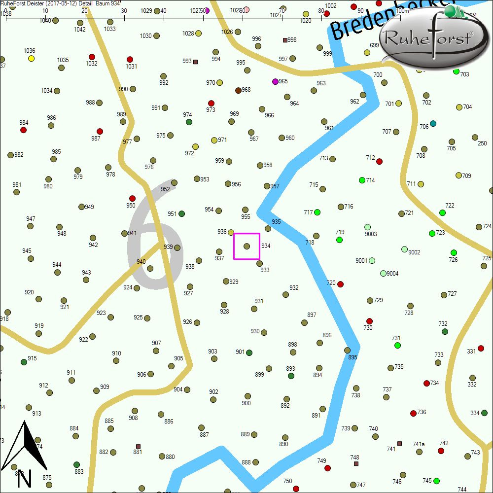 Detailkarte zu Baum 934