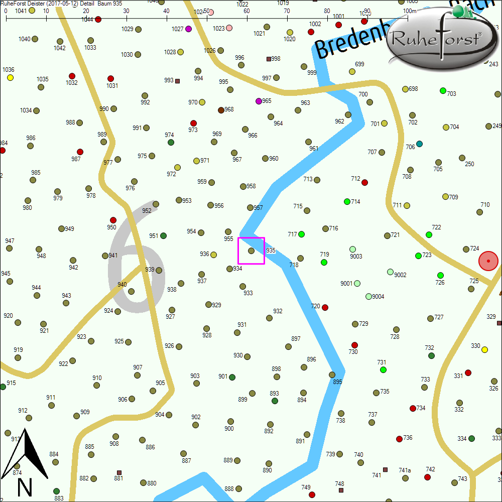 Detailkarte zu Baum 935