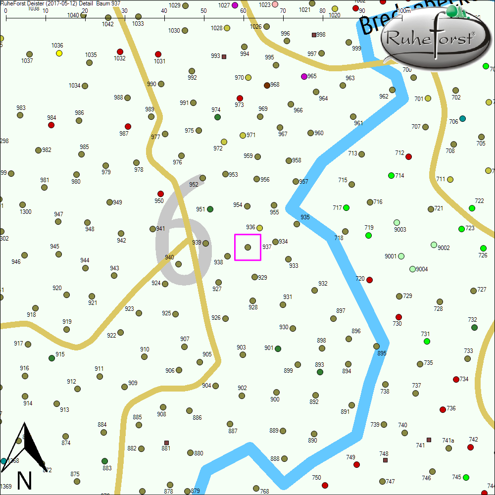 Detailkarte zu Baum 937