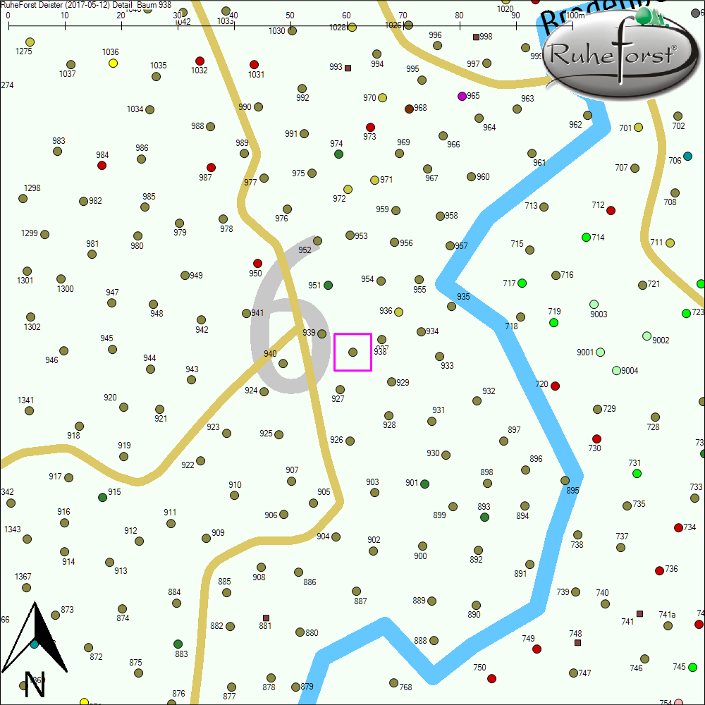 Detailkarte zu Baum 938