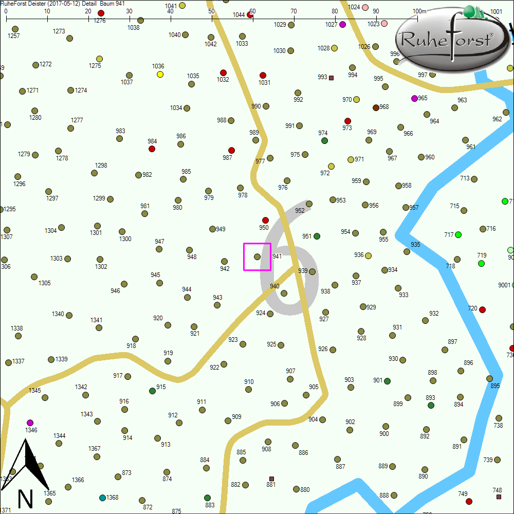 Detailkarte zu Baum 941
