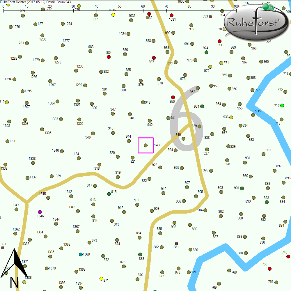 Detailkarte zu Baum 943