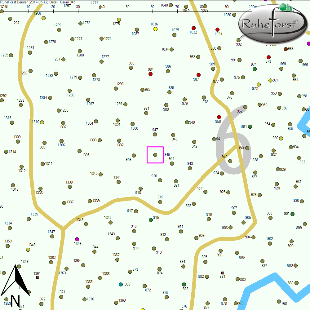 Detailkarte zu Baum 945