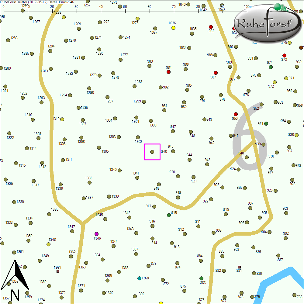 Detailkarte zu Baum 946