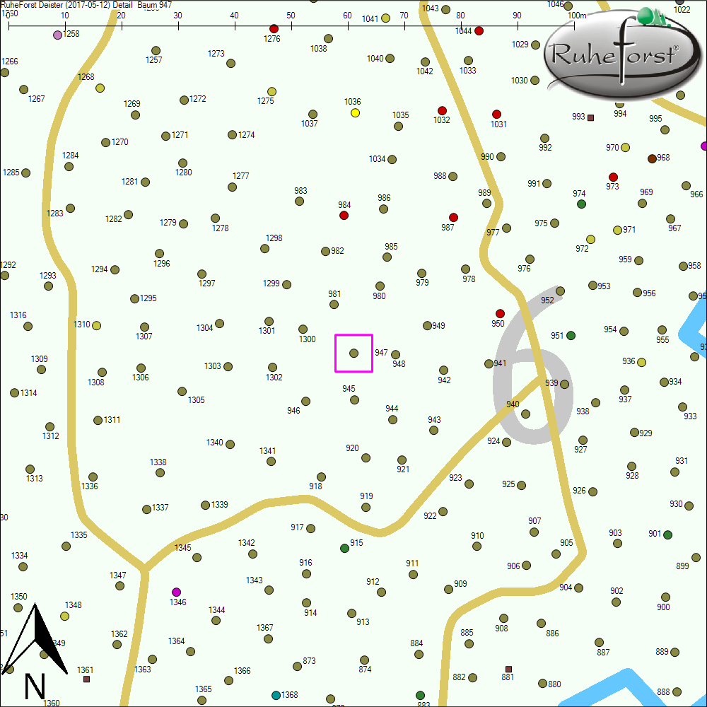 Detailkarte zu Baum 947