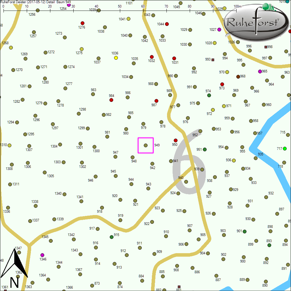 Detailkarte zu Baum 949