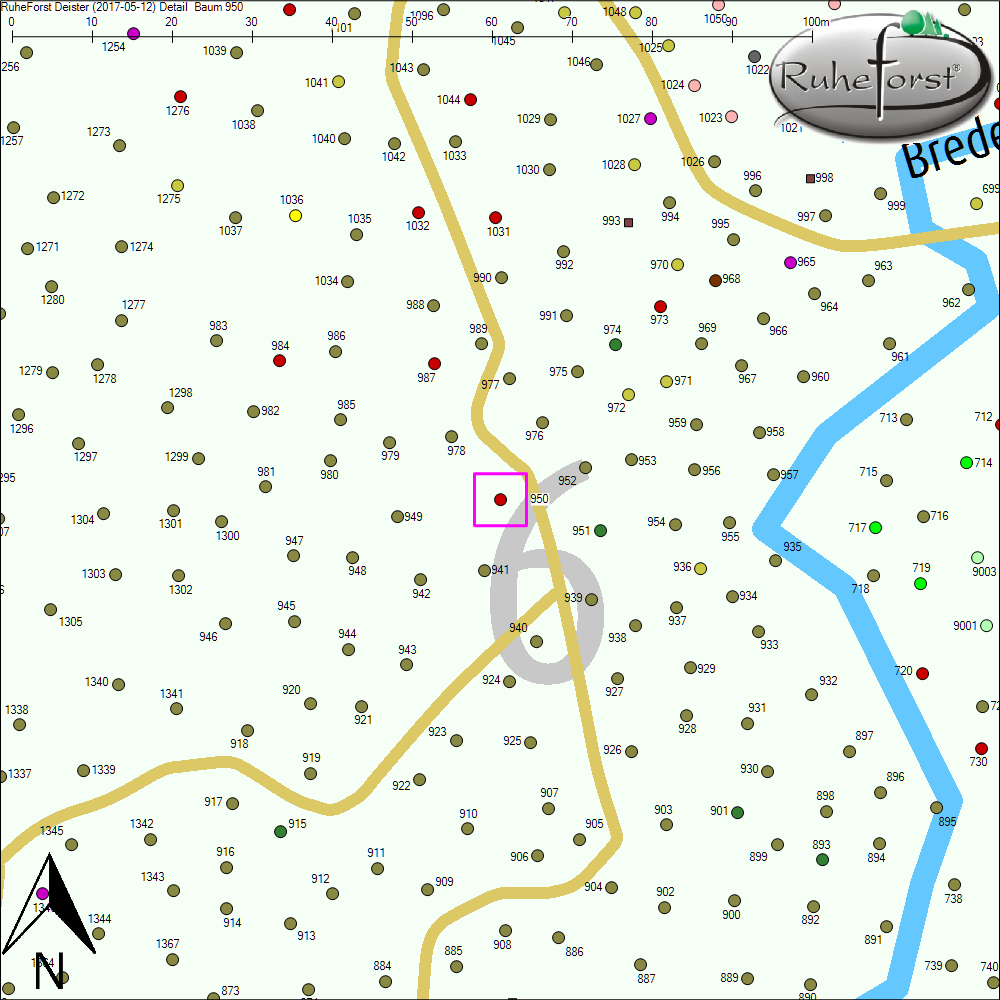 Detailkarte zu Baum 950