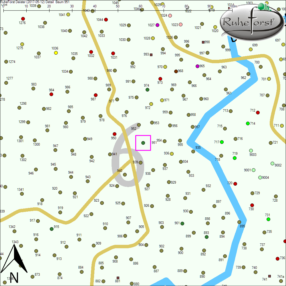 Detailkarte zu Baum 951