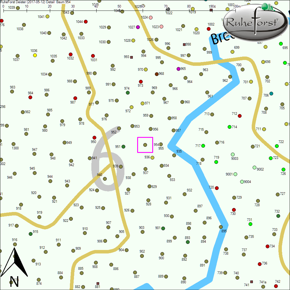 Detailkarte zu Baum 954