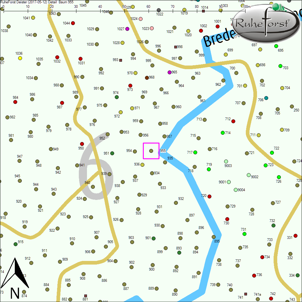 Detailkarte zu Baum 955
