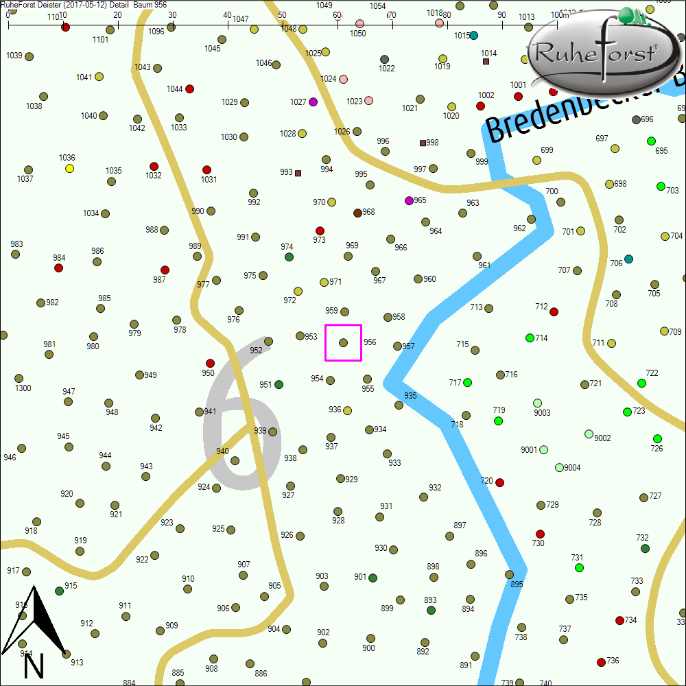 Detailkarte zu Baum 956