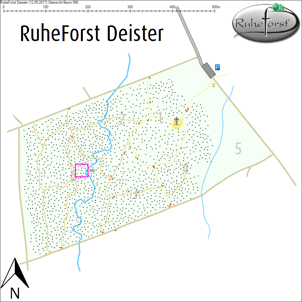 &Uuml;bersichtskarte zu Baum 956