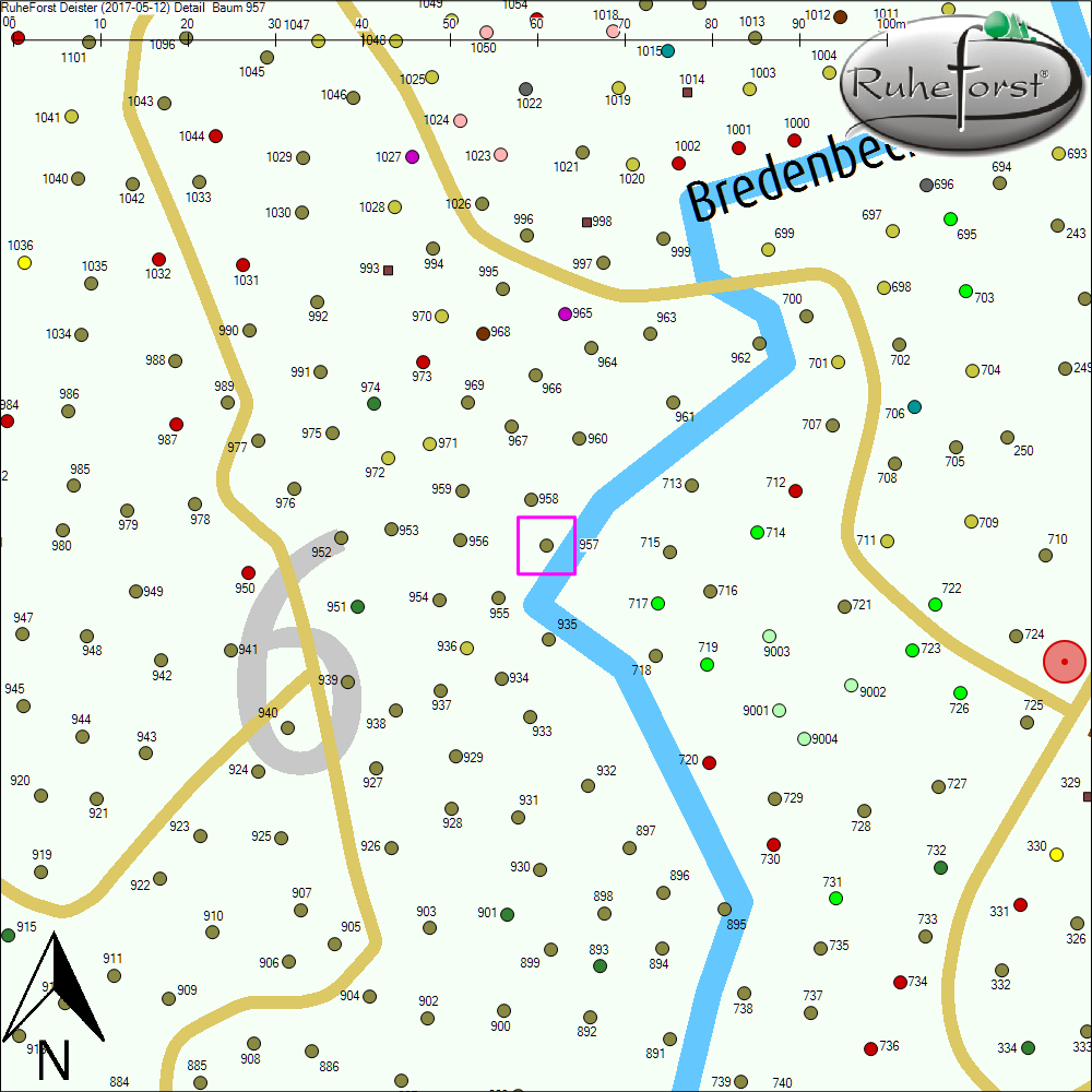 Detailkarte zu Baum 957