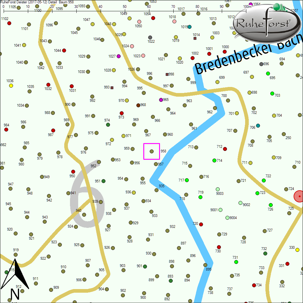 Detailkarte zu Baum 958