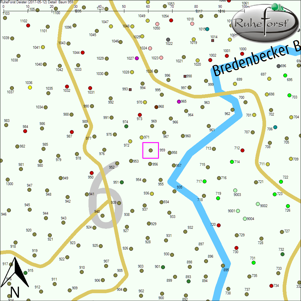 Detailkarte zu Baum 959