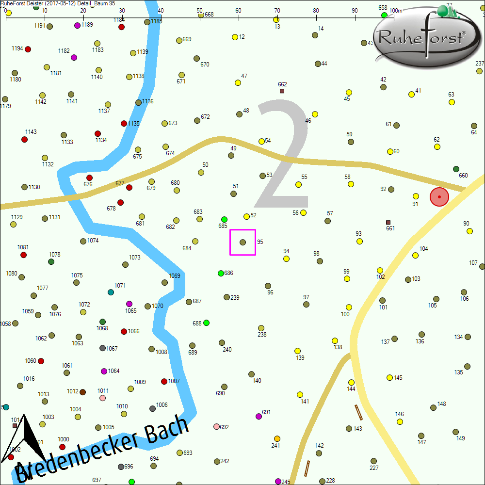 Detailkarte zu Baum 95