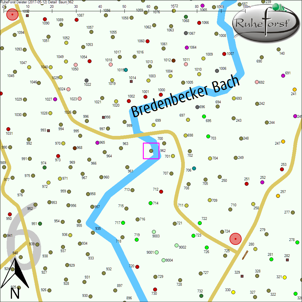 Detailkarte zu Baum 962