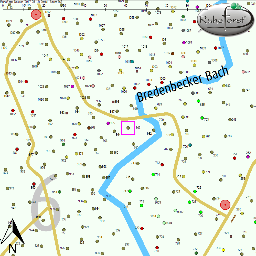 Detailkarte zu Baum 963