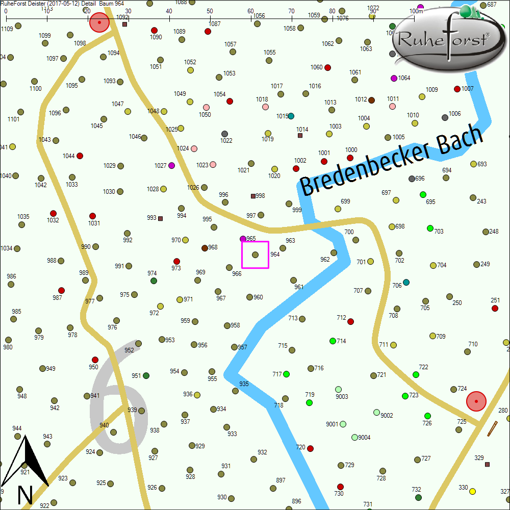 Detailkarte zu Baum 964