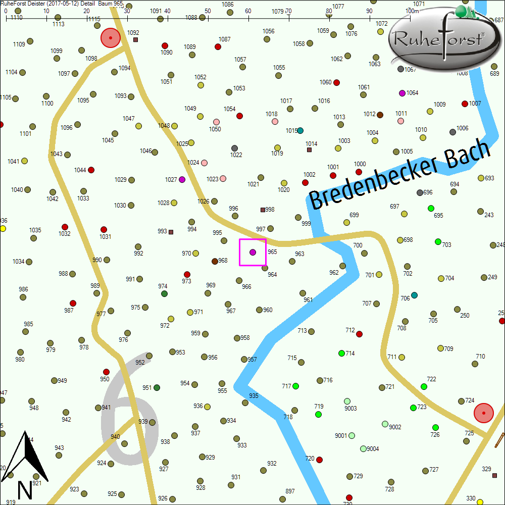 Detailkarte zu Baum 965