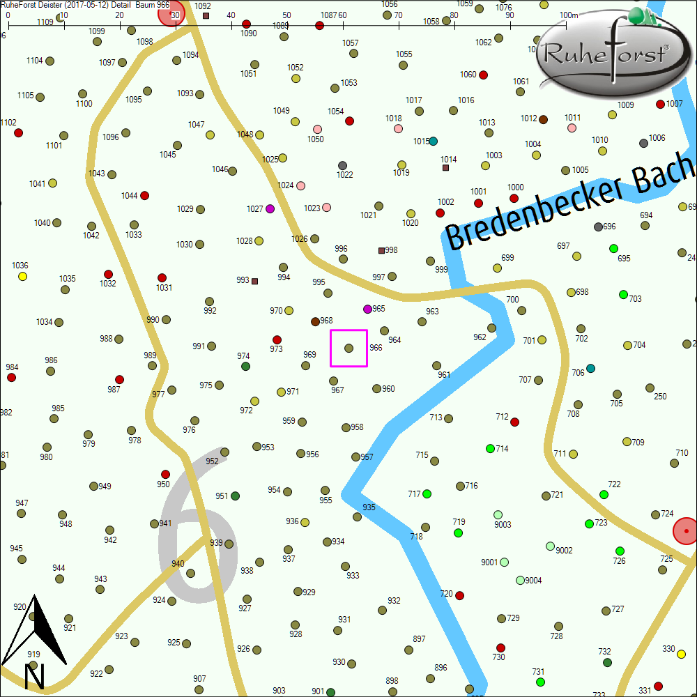 Detailkarte zu Baum 966