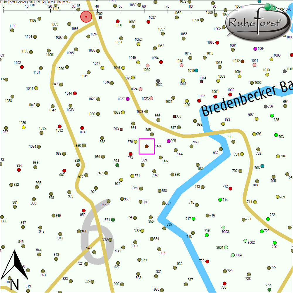 Detailkarte zu Baum 968