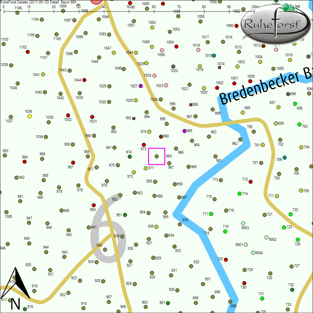 Detailkarte zu Baum 969