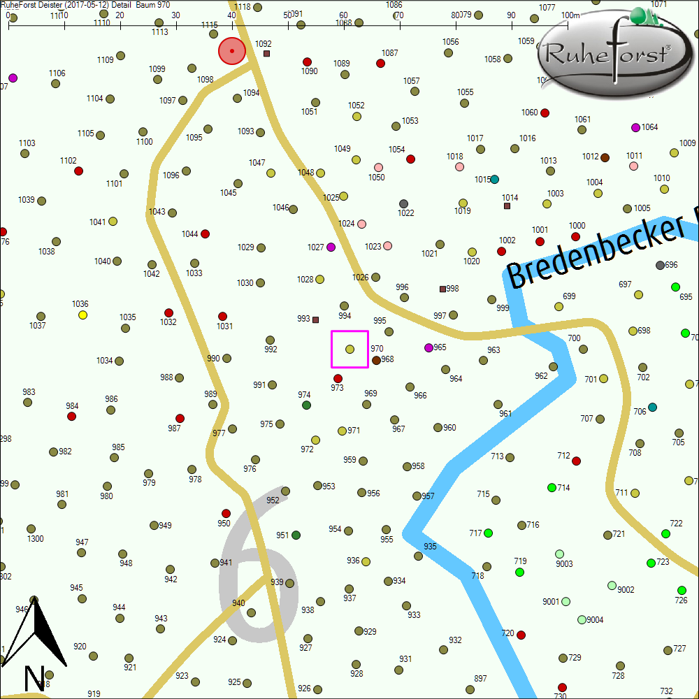 Detailkarte zu Baum 970