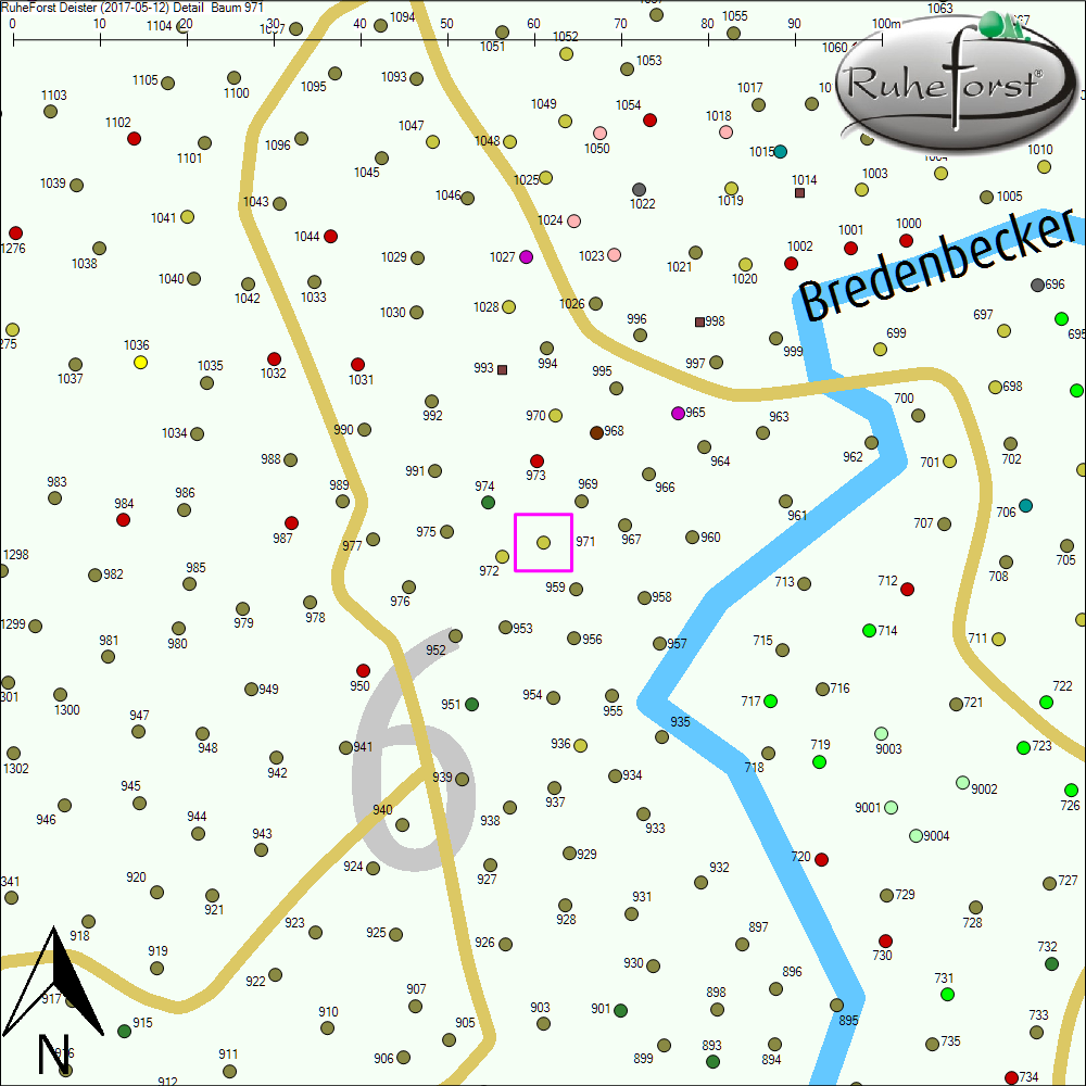 Detailkarte zu Baum 971