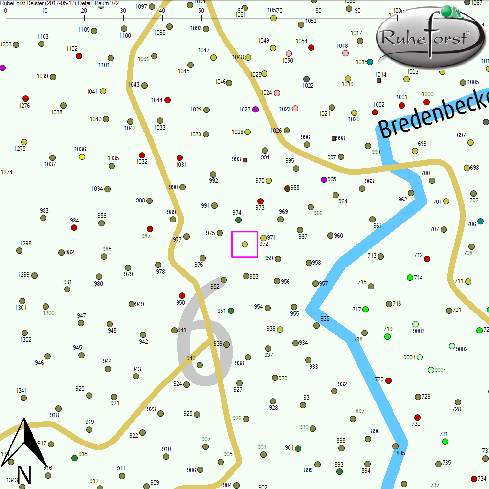 Detailkarte zu Baum 972