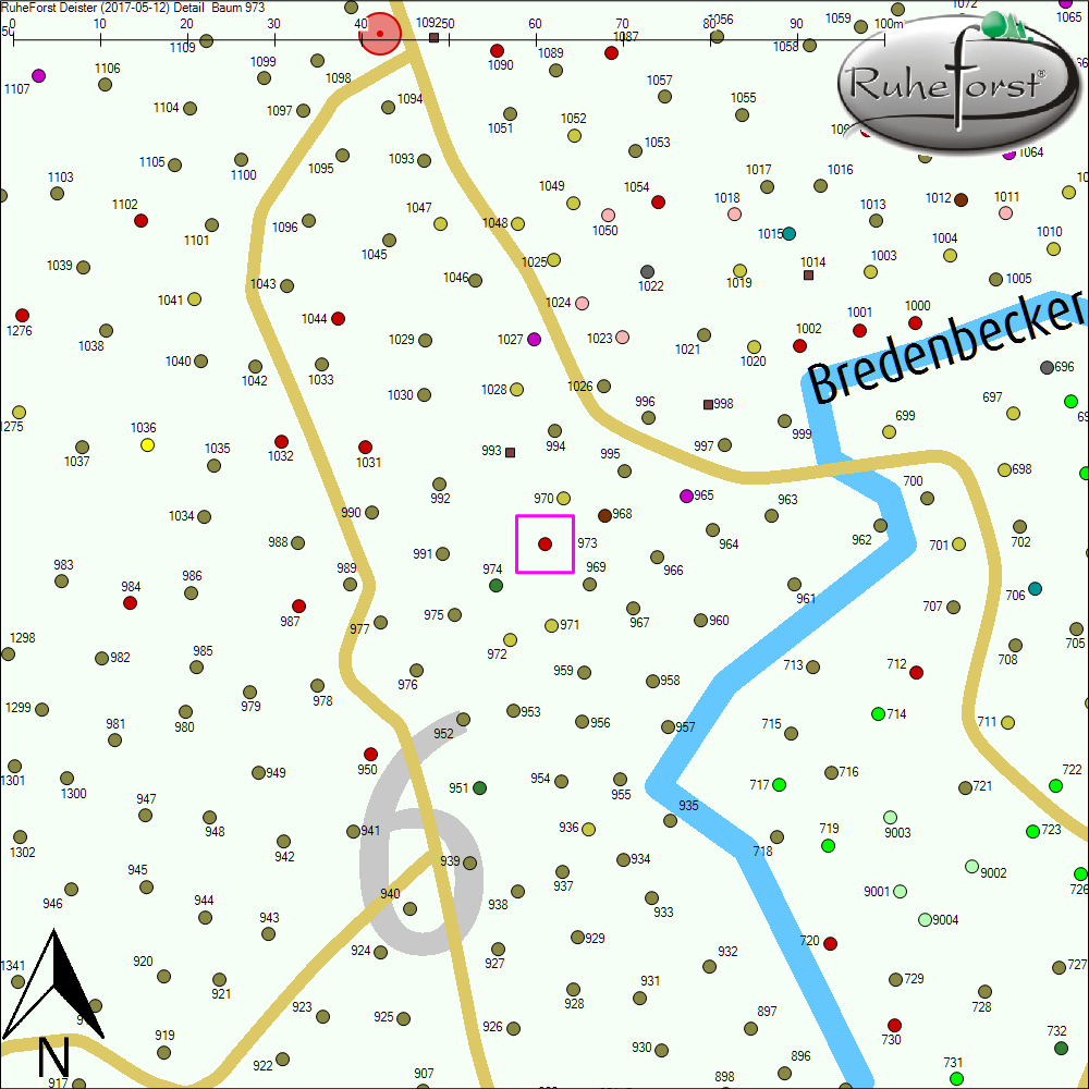 Detailkarte zu Baum 973
