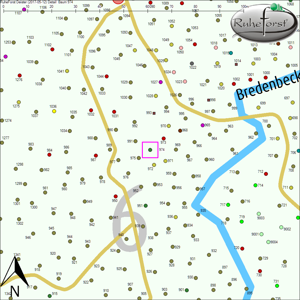 Detailkarte zu Baum 974