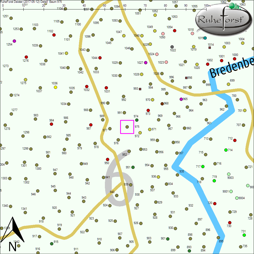 Detailkarte zu Baum 975