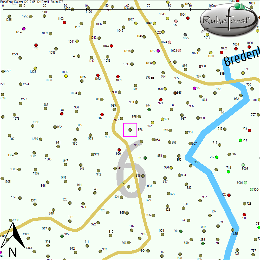 Detailkarte zu Baum 976
