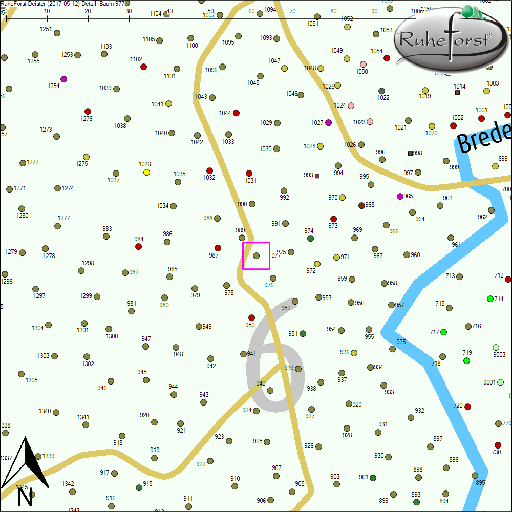 Detailkarte zu Baum 977