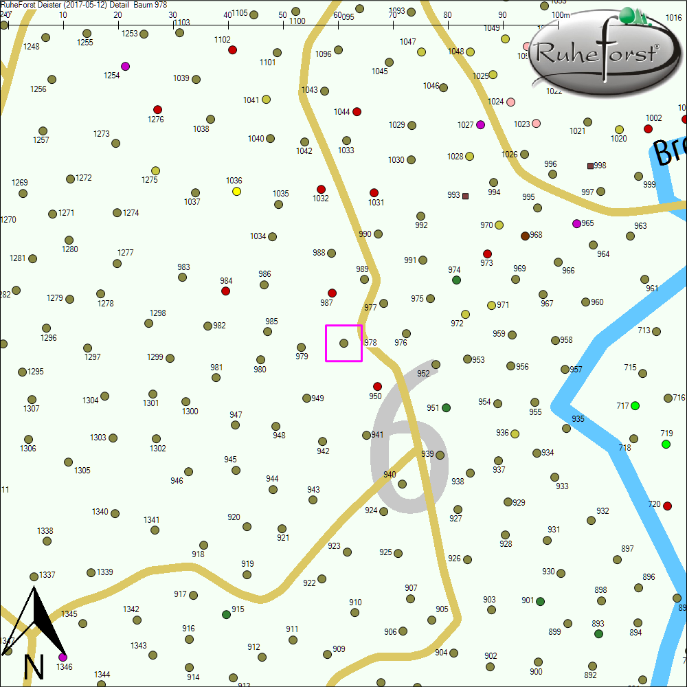 Detailkarte zu Baum 978